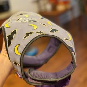 GLOW IN THE DARK Gray and Purple Dog Harness with Bat and Moon Design